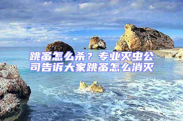跳蚤怎么殺?專業(yè)滅蟲公司告訴大家跳蚤怎么消滅