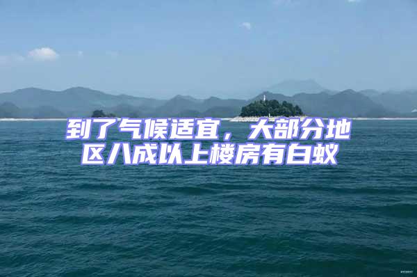 到了氣候適宜,大部分地區(qū)八成以上樓房有白蟻