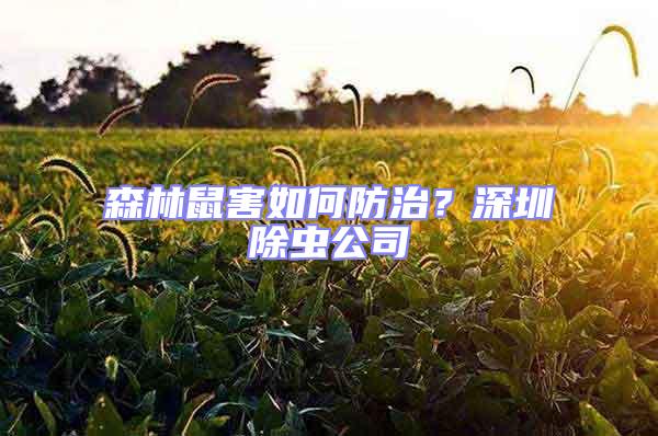 森林鼠害如何防治?深圳除蟲公司