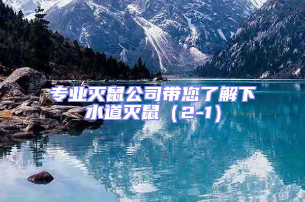 專業(yè)滅鼠公司帶您了解下水道滅鼠(2-1)