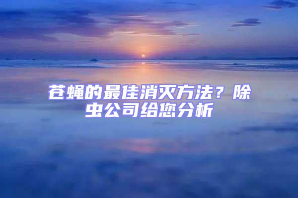 蒼蠅的最佳消滅方法?除蟲公司給您分析