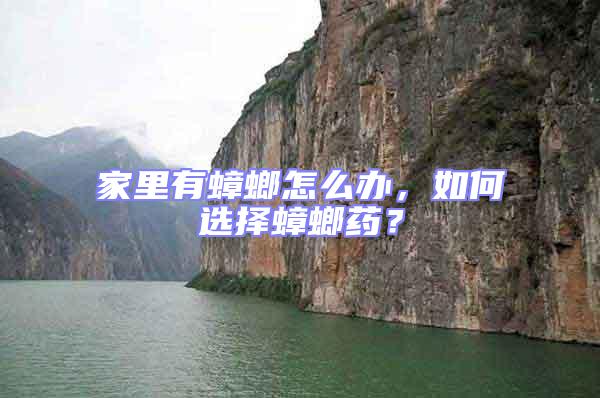 家里有蟑螂怎么辦,如何選擇蟑螂藥?