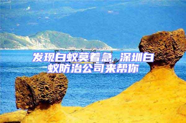 發(fā)現(xiàn)白蟻莫著急 深圳白蟻防治公司來(lái)幫你