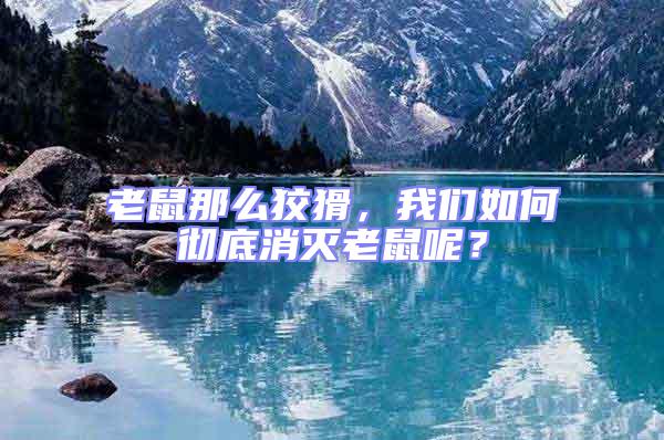 老鼠那么狡猾,我們如何徹底消滅老鼠呢?