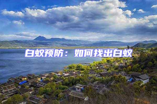 白蟻預防:如何找出白蟻