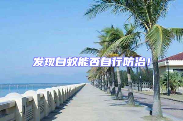 發現白蟻能否自行防治!
