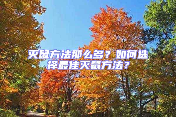 滅鼠方法那么多?如何選擇最佳滅鼠方法?