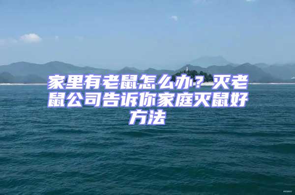 家里有老鼠怎么辦?滅老鼠公司告訴你家庭滅鼠好方法