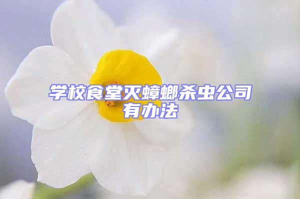 學(xué)校食堂滅蟑螂殺蟲公司有辦法