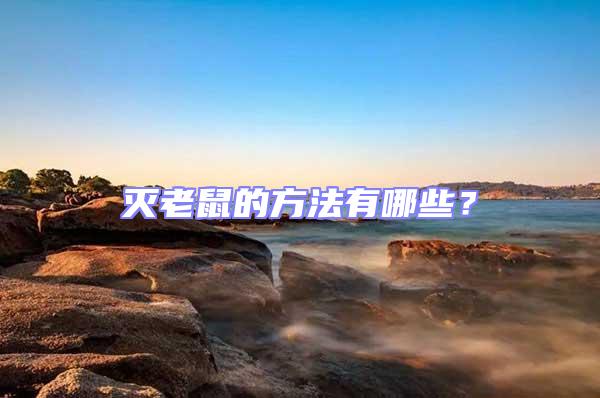 滅老鼠的方法有哪些?