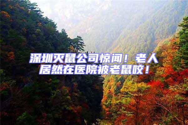 深圳滅鼠公司驚聞!老人居然在醫院被老鼠咬!