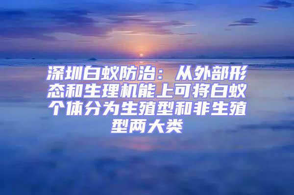 深圳白蟻防治:從外部形態和生理機能上可將白蟻個體分為生殖型和非生殖型兩大類