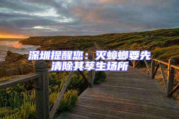 深圳提醒您:滅蟑螂要先清除其孳生場所