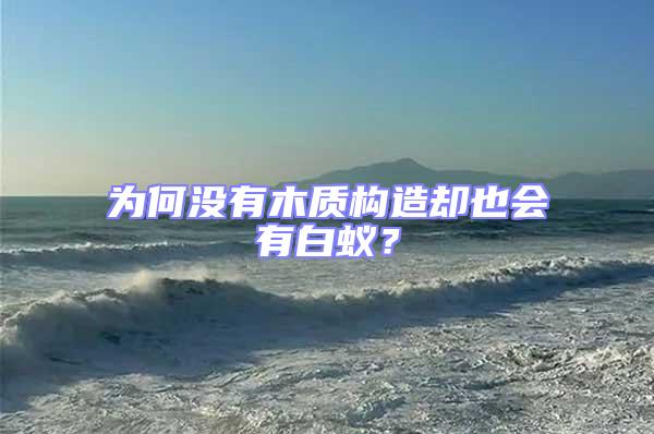 為何沒有木質構造卻也會有白蟻?