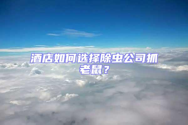 酒店如何選擇除蟲公司抓老鼠?