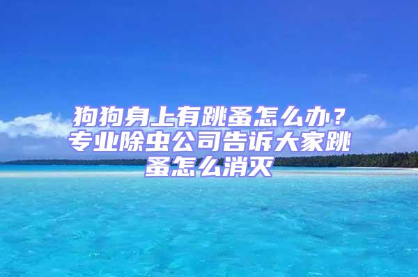 狗狗身上有跳蚤怎么辦?專業除蟲公司告訴大家跳蚤怎么消滅