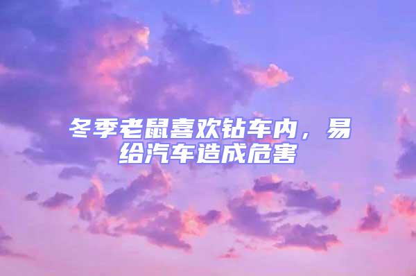 冬季老鼠喜歡鉆車內,易給汽車造成危害
