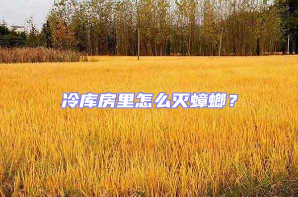 冷庫房里怎么滅蟑螂？
