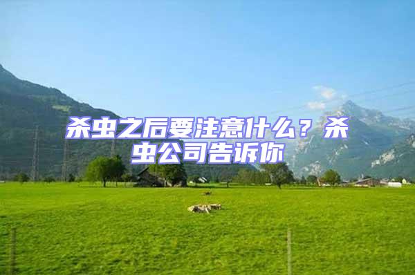 殺蟲(chóng)之后要注意什么?殺蟲(chóng)公司告訴你