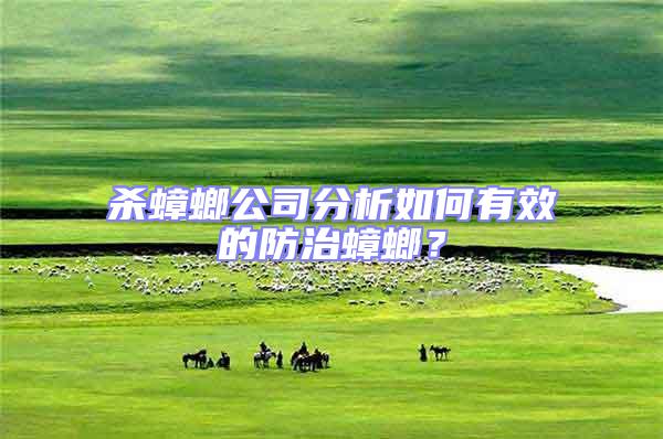 殺蟑螂公司分析如何有效的防治蟑螂?
