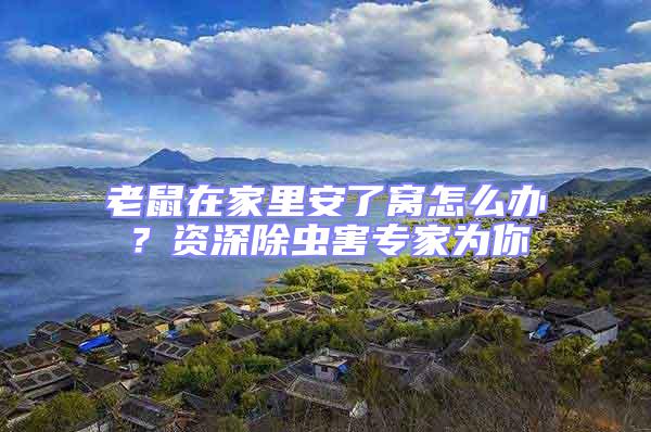 老鼠在家里安了窩怎么辦?資深除蟲害專家為你