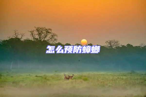 怎么預防蟑螂