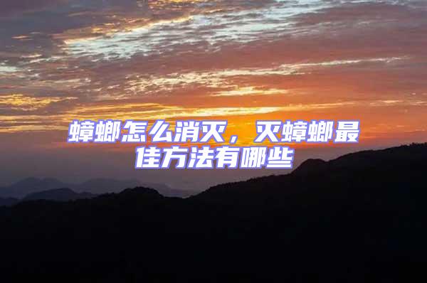 蟑螂怎么消滅,滅蟑螂最佳方法有哪些