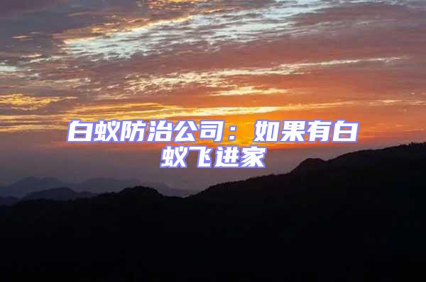 白蟻防治公司:如果有白蟻飛進(jìn)家