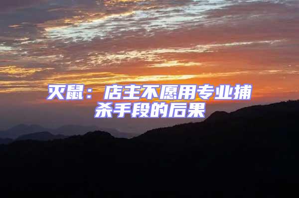 滅鼠:店主不愿用專業捕殺手段的后果