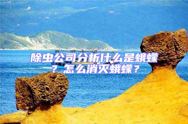 除蟲公司分析什么是蛾蠓?怎么消滅蛾蠓?