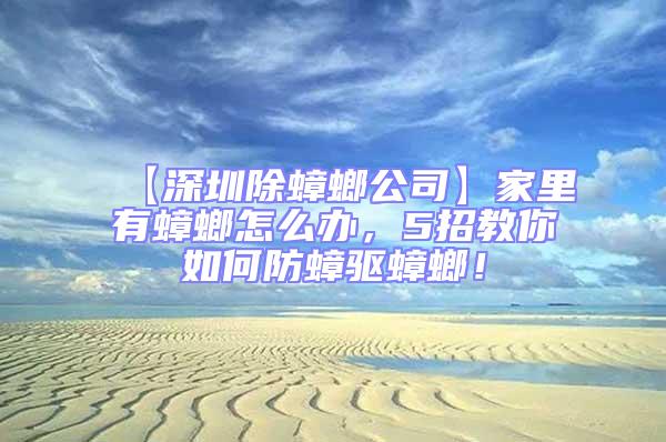 【深圳除蟑螂公司】家里有蟑螂怎么辦,5招教你如何防蟑驅(qū)蟑螂!
