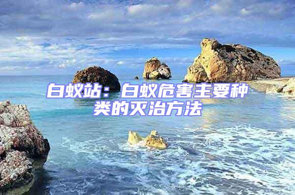 白蟻站:白蟻危害主要種類的滅治方法