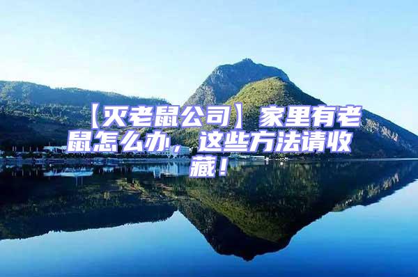 【滅老鼠公司】家里有老鼠怎么辦,這些方法請收藏!