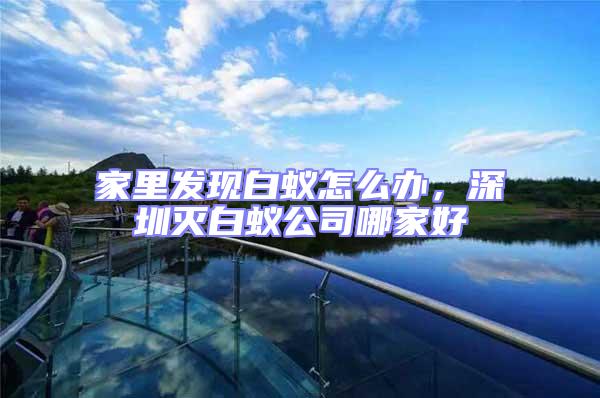家里發(fā)現(xiàn)白蟻怎么辦，深圳滅白蟻公司哪家好