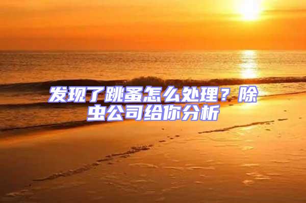 發現了跳蚤怎么處理？除蟲公司給你分析
