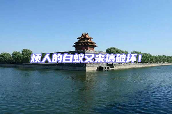 煩人的白蟻又來(lái)搞破壞!