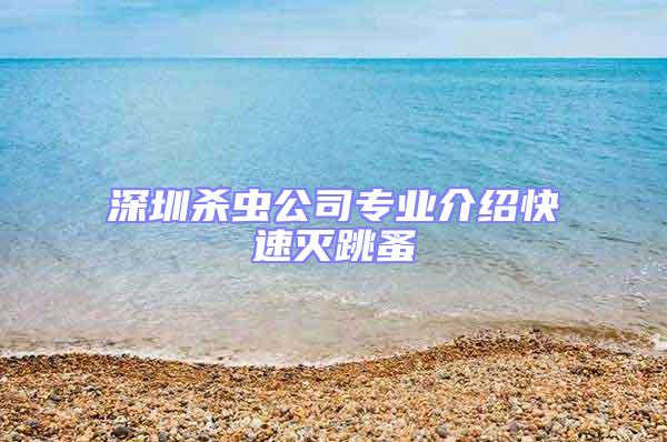 深圳殺蟲公司專業(yè)介紹快速滅跳蚤