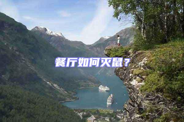 餐廳如何滅鼠?