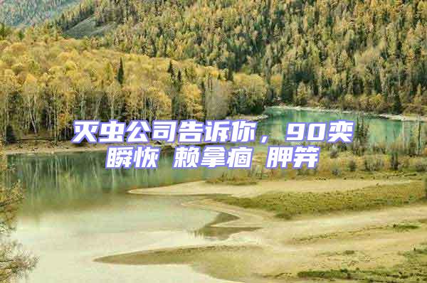 滅蟲公司告訴你,90奕瞬恢賴拿痼胛笄