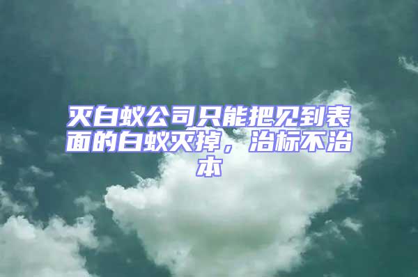 滅白蟻公司只能把見(jiàn)到表面的白蟻滅掉,治標(biāo)不治本