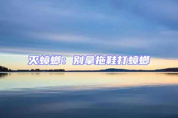 滅蟑螂:別拿拖鞋打蟑螂