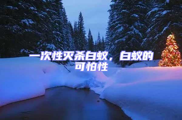 一次性滅殺白蟻,白蟻的可怕性