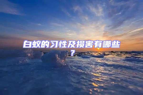 白蟻的習性及損害有哪些?