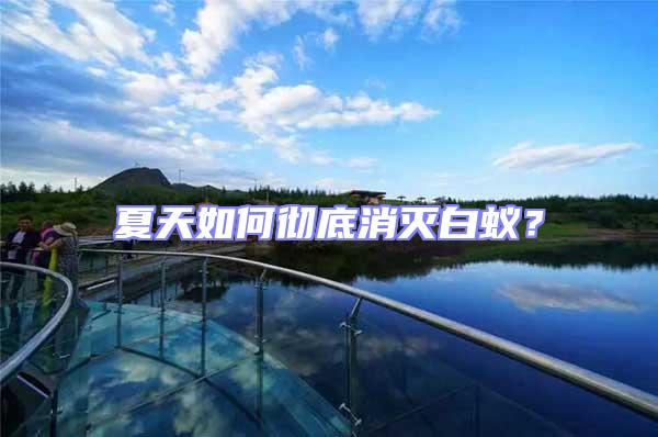 夏天如何徹底消滅白蟻?