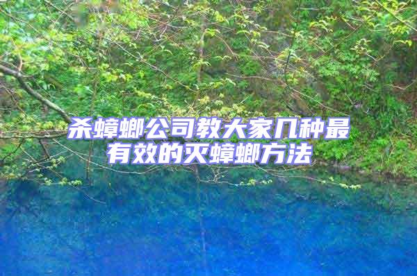 殺蟑螂公司教大家?guī)追N最有效的滅蟑螂方法