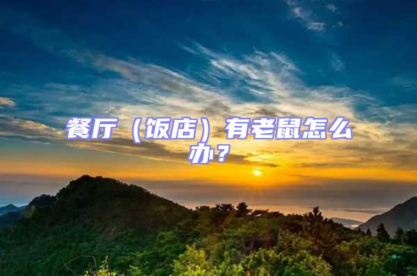 餐廳(飯店)有老鼠怎么辦?