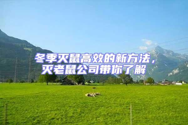 冬季滅鼠高效的新方法,滅老鼠公司帶你了解