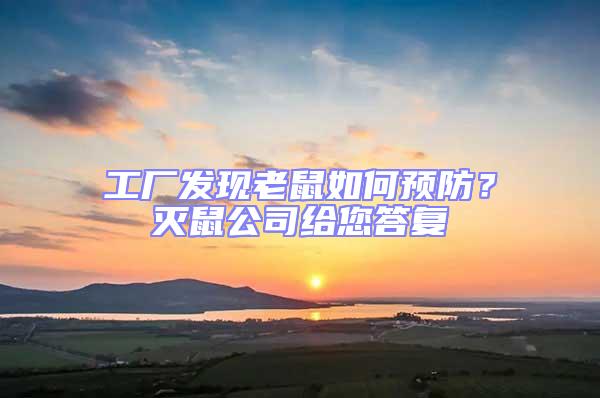 工廠發現老鼠如何預防?滅鼠公司給您答復