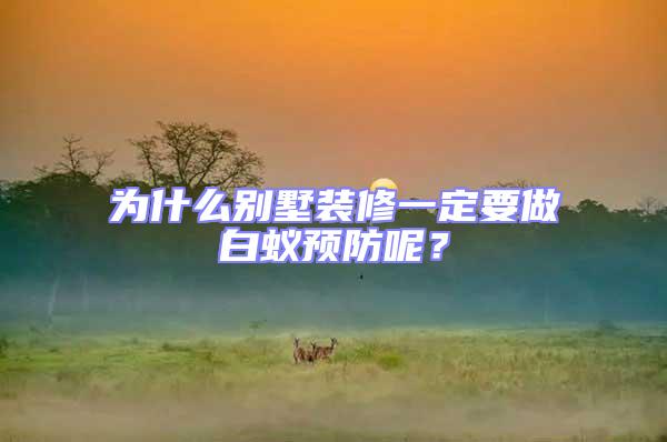 為什么別墅裝修一定要做白蟻預防呢?