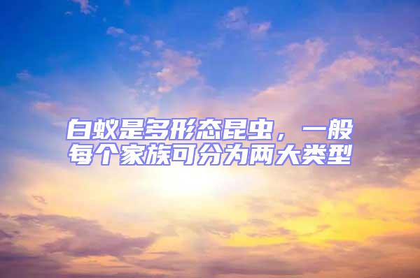 白蟻是多形態昆蟲，一般每個家族可分為兩大類型